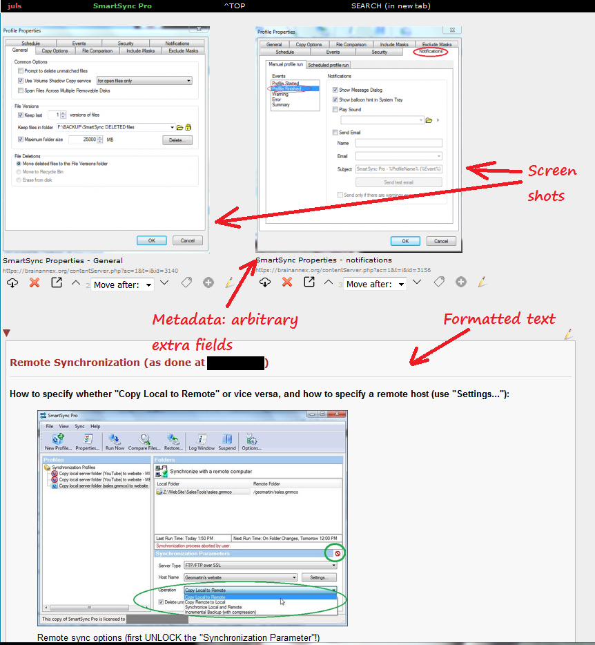 Brain Annex - Example 1 - Pesky program settings