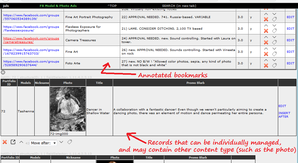 Brain Annex - Example 3 - Mixed type records